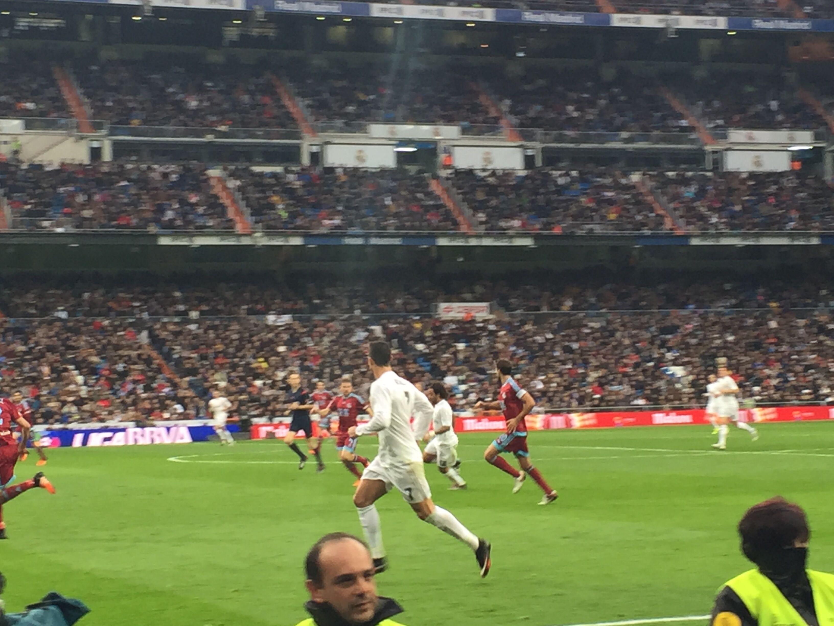 桑巴与春节 桑巴与春节